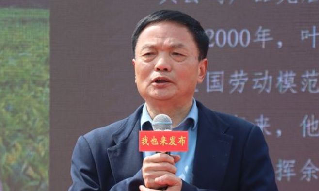 叶雪平：一杯茶，泡了40年